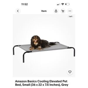 Amazon Basics Cooling Elevated Pet Bed, Small‎ (36 x 22 x 7.5 Inches), Grey